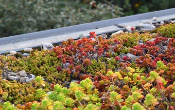 the cost of Little Bedwyn green roof installation