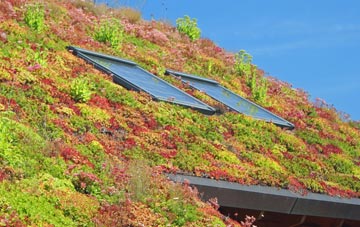 Little Bedwyn living roof systems
